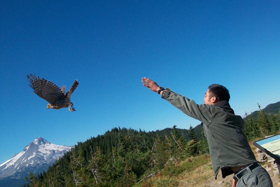 oregon, butte, hiking, hawkwatch international, bonney butte