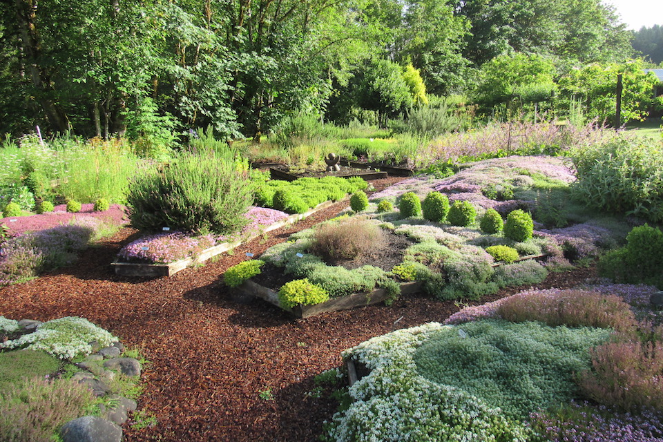 Restoring the Land Through Thyme 1859 Magazine