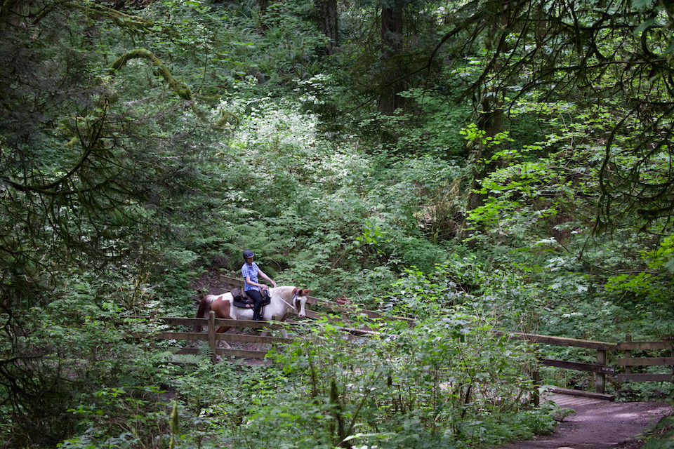 Tryon Creek State Natural Area 1859 Oregon's Magazine