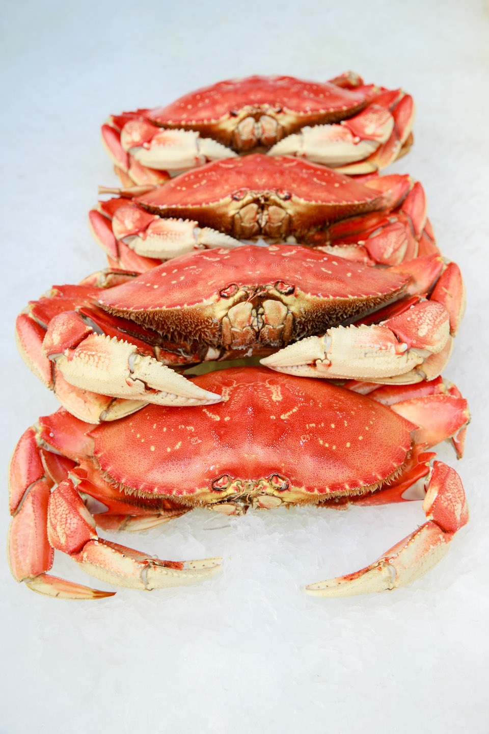 crabbing, astoria