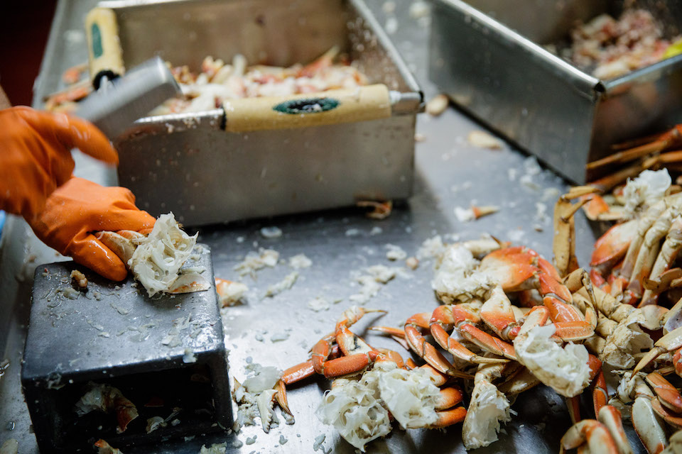 crabbing, astoria