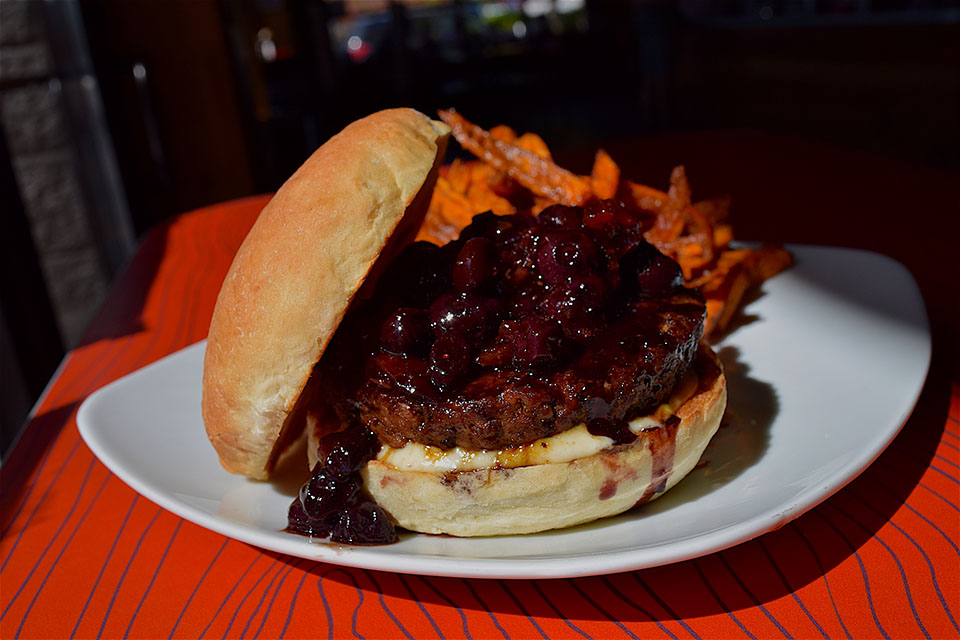 elk burger
