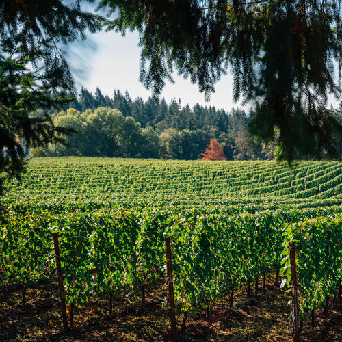 Heritage and History: Wine Dinner