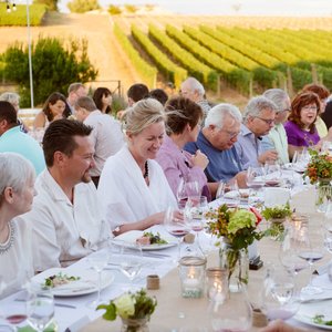 Lunch in the Vineyard