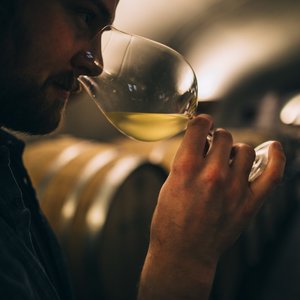 Saturday Seminar: Wine 101