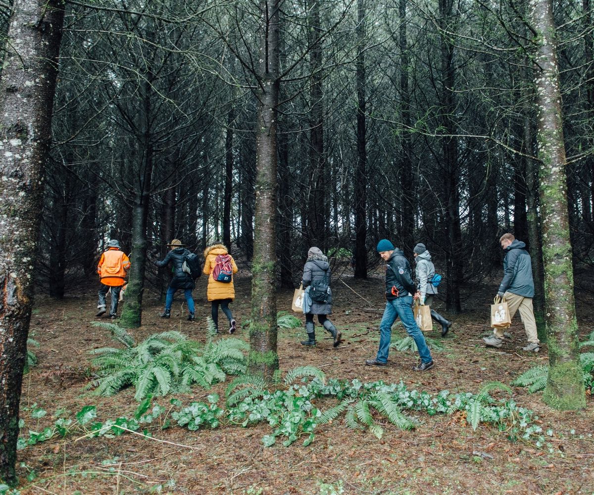The Oregon Truffle Festival Eugene & Willamette Valley Weekend
