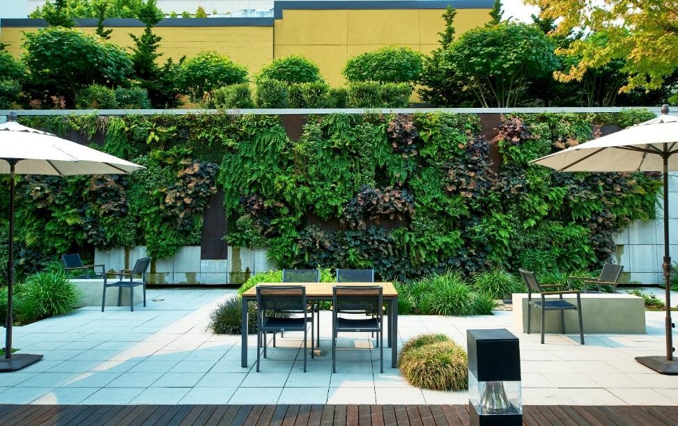 Living Well Yoga at Modera