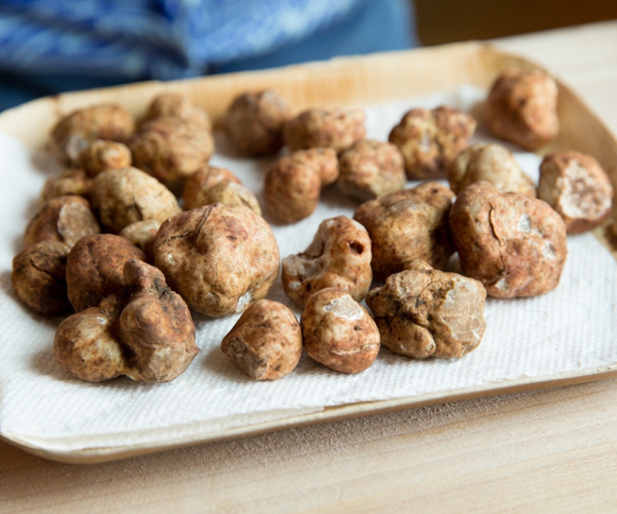 The Oregon Truffle Festival Yamhill Valley Wine Country Weekend